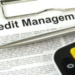The Role of Behavioral Economics in Credit Risk Assessment Models