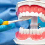 The Role of a Family Dentist in Preventing Dental Issues