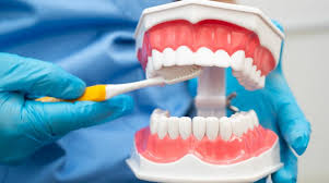 The Role of a Family Dentist in Preventing Dental Issues